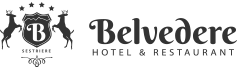 Màxelway International Group - Hotel Belvedere